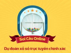 soi cau online
